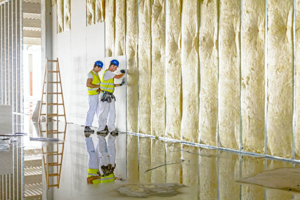 Best Insulation Maintenance and Repair in Havre De Grace, MD